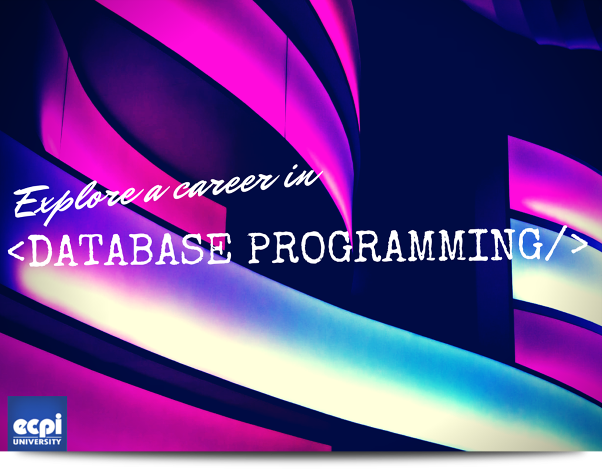 How Much Does A Database Programmer Make ECPI University