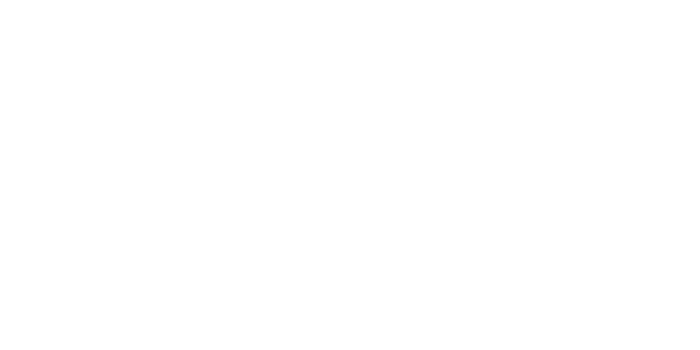 League of Legends Team