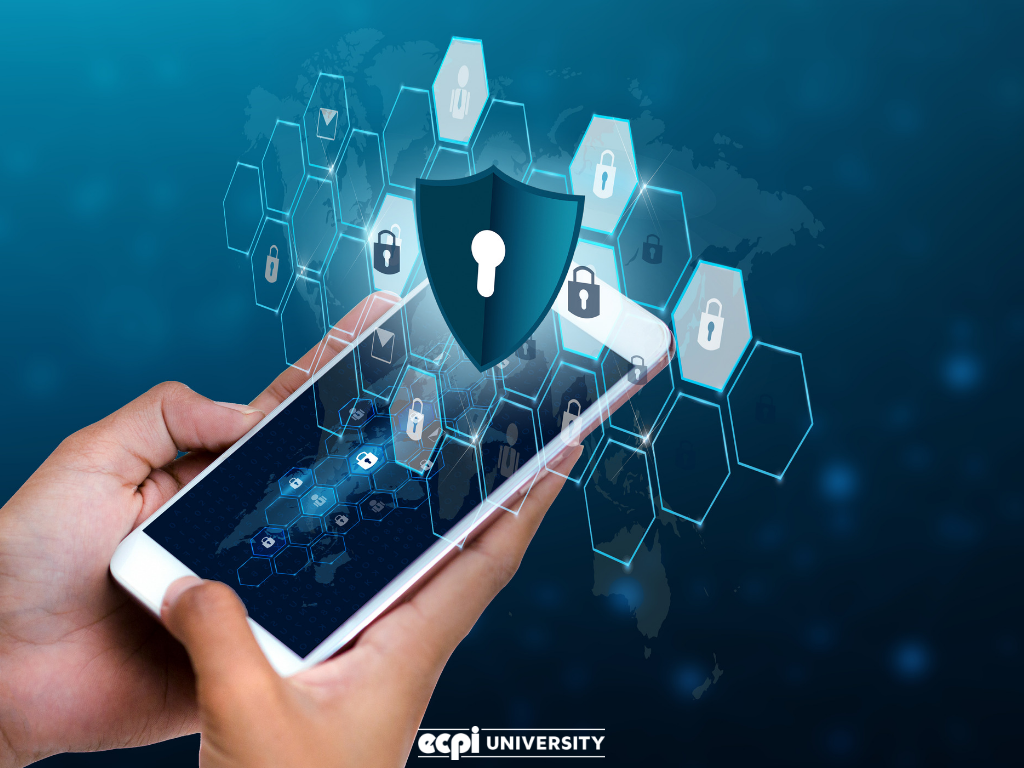 Network Security: Tips and Tricks You Could Learn in College